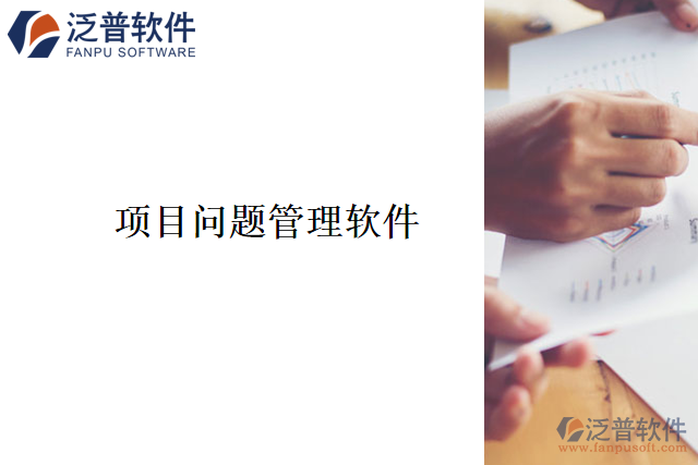 項目問題管理軟件