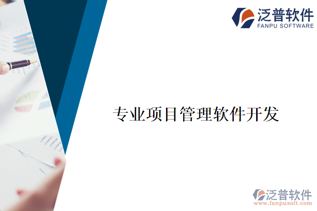 專業(yè)項(xiàng)目管理軟件開(kāi)發(fā)