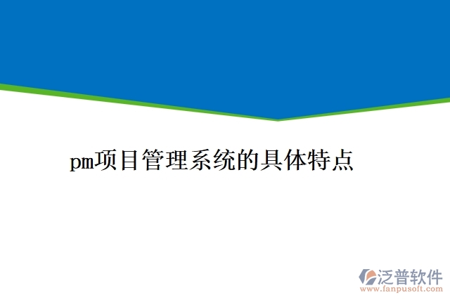 pm項(xiàng)目管理系統(tǒng)的具體特點(diǎn)