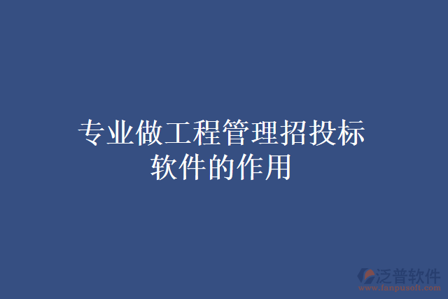 專(zhuān)業(yè)做工程管理招投標(biāo)軟件的作用
