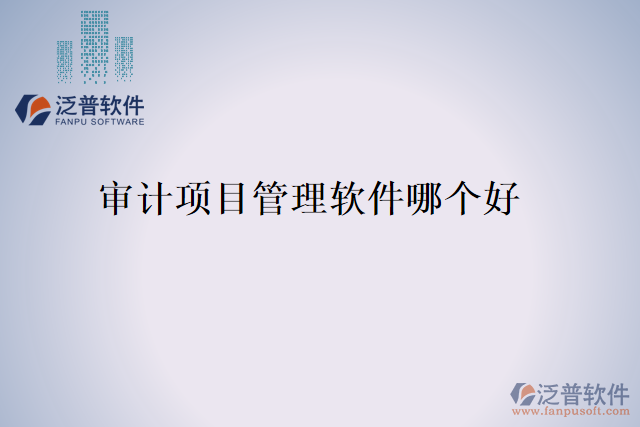 審計(jì)項(xiàng)目管理軟件哪個好