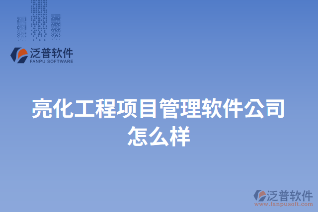亮化工程項目管理軟件公司怎么樣