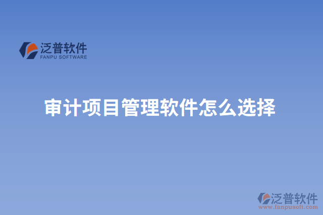 審計項(xiàng)目管理軟件怎么選擇