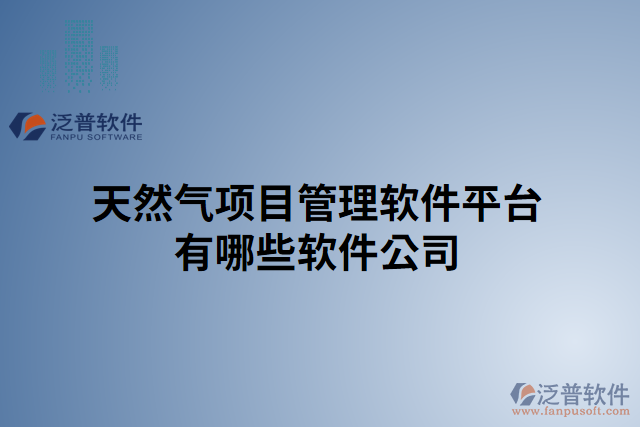 天然氣項目管理軟件平臺有哪些軟件公司