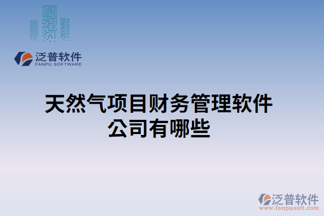 天然氣項目財務(wù)管理軟件公司有哪些