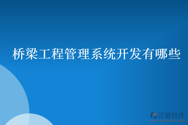 橋梁工程管理系統(tǒng)開(kāi)發(fā)有哪些