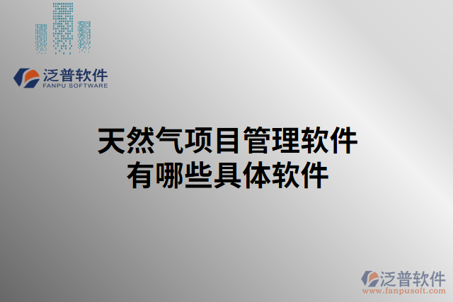 天然氣項(xiàng)目管理軟件有哪些具體軟件