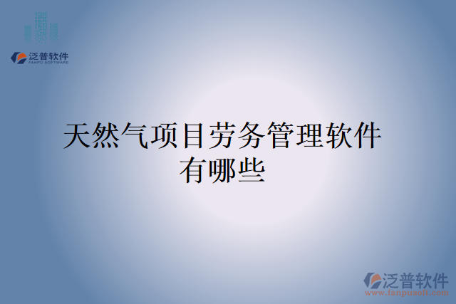 天然氣項(xiàng)目勞務(wù)管理軟件有哪些