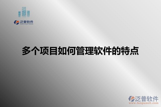 多個項目如何管理軟件的特點
