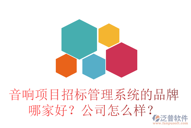 音響項(xiàng)目招標(biāo)管理系統(tǒng)的品牌哪家好？公司怎么樣？