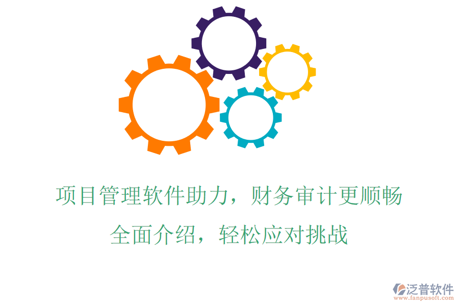 項目管理軟件助力，財務(wù)審計更順暢，全面介紹，輕松應(yīng)對挑戰(zhàn)