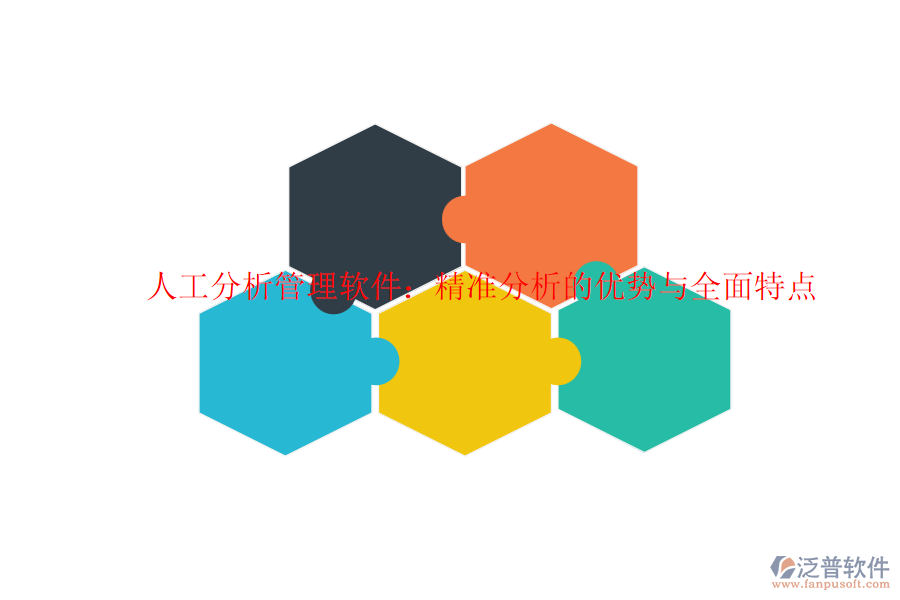 人工分析管理軟件：精準(zhǔn)分析的優(yōu)勢(shì)與全面特點(diǎn)