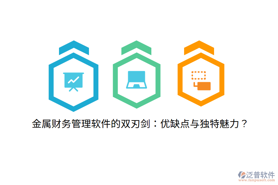 金屬財務(wù)管理軟件的雙刃劍：優(yōu)缺點與獨特魅力？