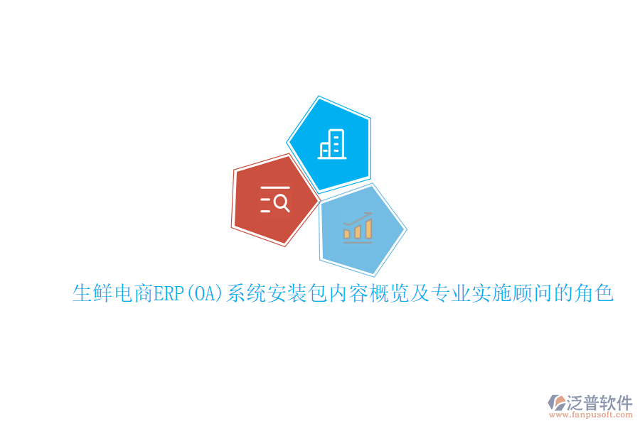 生鮮電商ERP(OA)系統(tǒng)安裝包內(nèi)容概覽及專業(yè)實(shí)施顧問(wèn)的角色