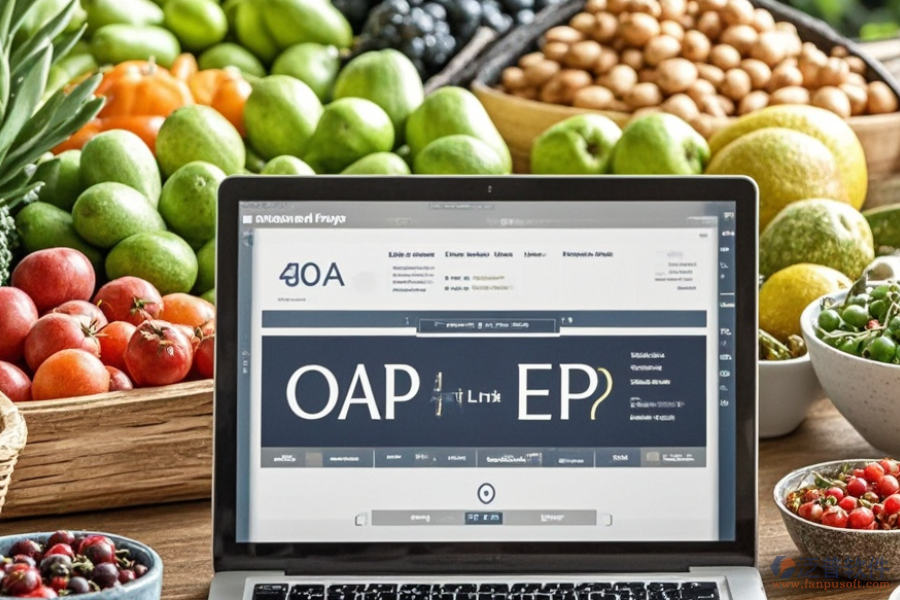 蔬菜ERP(OA)系統(tǒng)需求分析與實施藍圖?