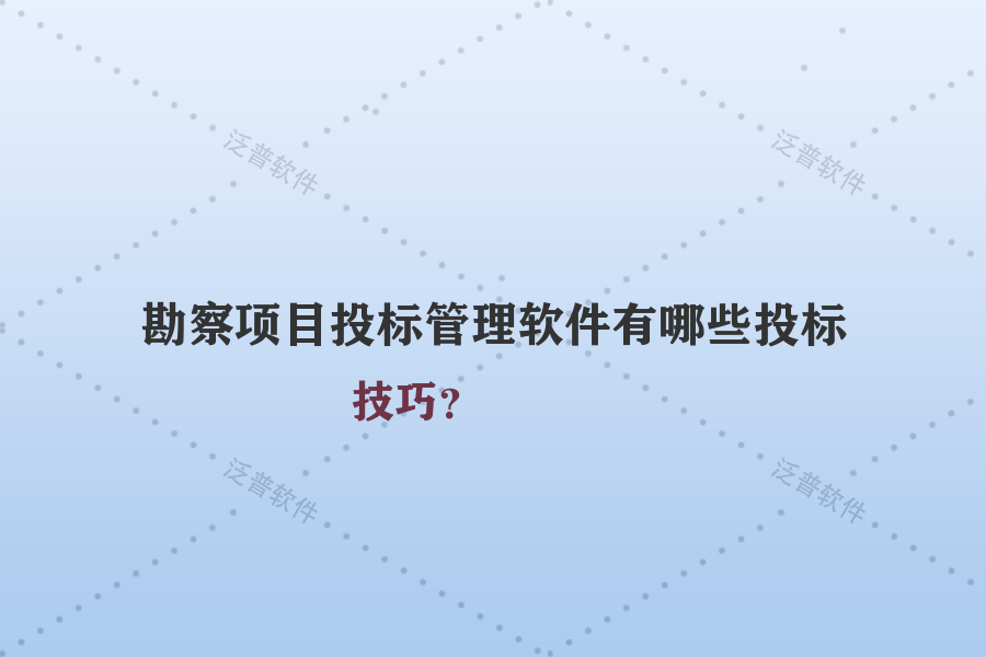 勘察項(xiàng)目投標(biāo)管理軟件有哪些投標(biāo)技巧？