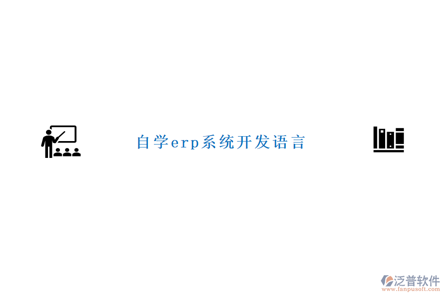 自學(xué)erp系統(tǒng)開發(fā)語(yǔ)言