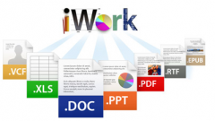 關(guān)于無紙化辦公OA系統(tǒng)。領(lǐng)導不會使用電腦如何解決呢？