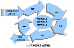 人力資源管理系統(tǒng)有哪些產(chǎn)品？