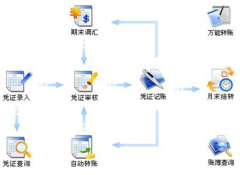 財務(wù)軟件是否有網(wǎng)絡(luò)版的？