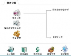 財務(wù)軟件免費版的優(yōu)缺點有哪些？