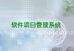 什么是項(xiàng)目管理軟件啊！在那里可以下載??！