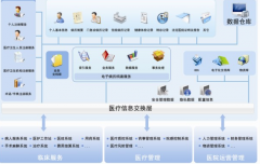 區(qū)域衛(wèi)生信息化是新醫(yī)改的必要條件！