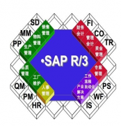 SAP是不是屬于財務軟件類？