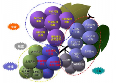 金和OA軟件好不好？有沒(méi)有人知道呢？