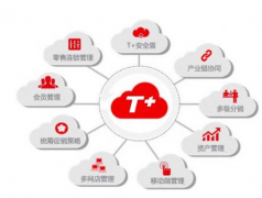 用友t+(U盤(pán)版)這個(gè)軟件怎么樣？