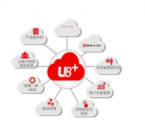 用友U8軟件問題，誰遇到過??？